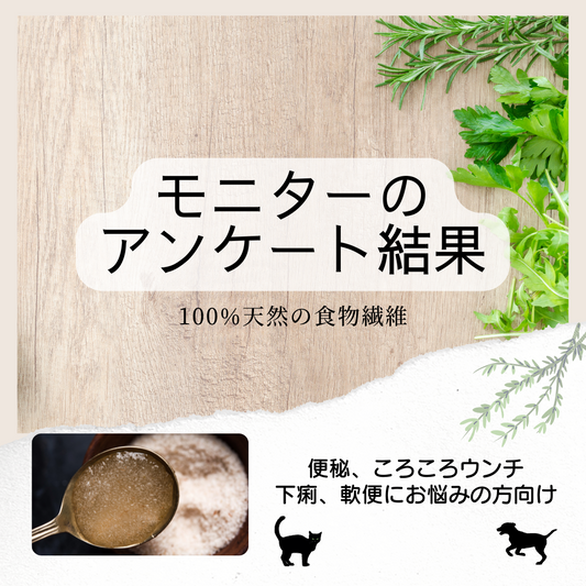 犬猫の便秘・下痢に悩む方におすすめのサイリウム!アンケートの結果発表 | おやつやフードに添えてもOK