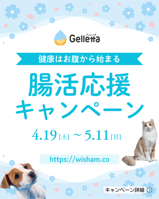 【キャンペーン】腸活の味方サイリウムのおためしキャンペーンSTART!