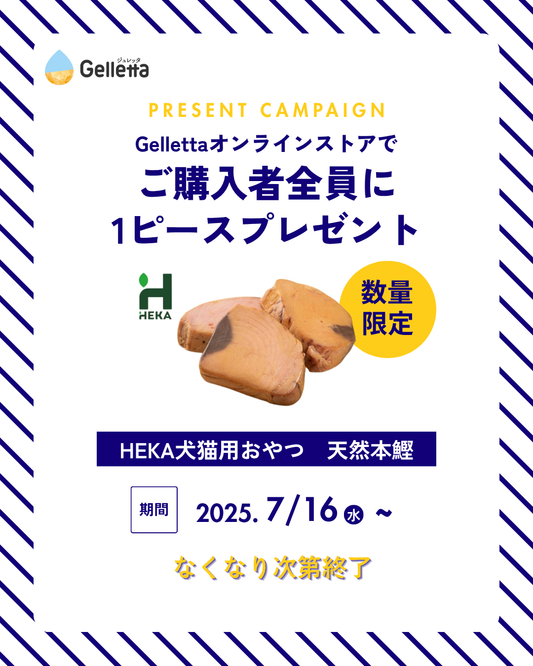 【HEKA天然本鰹】購入者様にプレゼントキャンペーン