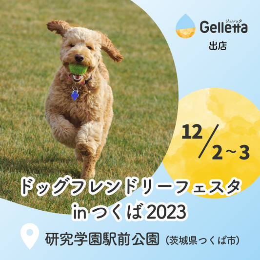 【イベント出店のおしらせ】ドッグフレンドリーフェスタinつくば