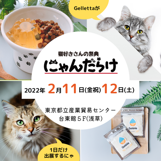 ※延期になりました※【イベント告知】にゃんだらけVol.12に出展します