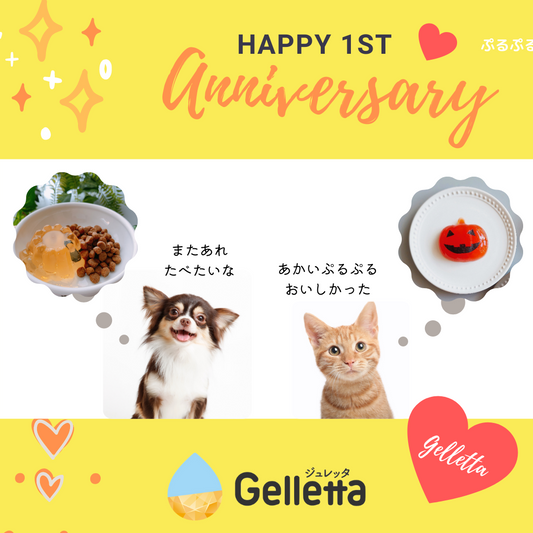 Gelletta1周年記念キャンペーン✨