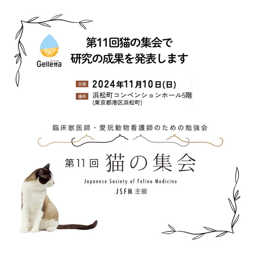 第11回猫の集会にGelletta®(ジュレッタ)がポスターセッションにて発表します