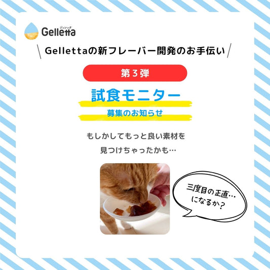 新フレーバーの第3弾モニター募集について