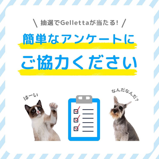 【急募】クラウド・ファンディングについてのアンケート