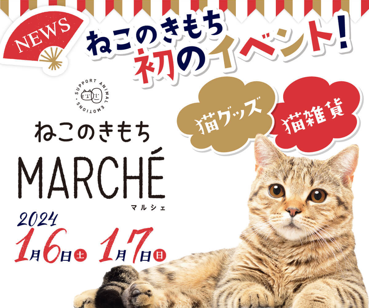 ねこのきもち☆2024年4月 - 猫雑貨・オーナーズグッズ