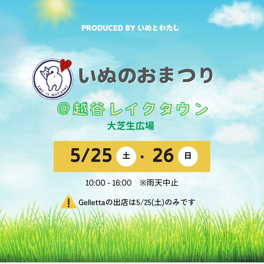 【イベント出店】いぬのおまつりに出店します | @越谷市レイクタウン2024