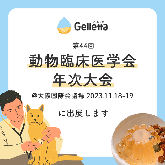 動物臨床医学会年次大会(動臨研)に出展します