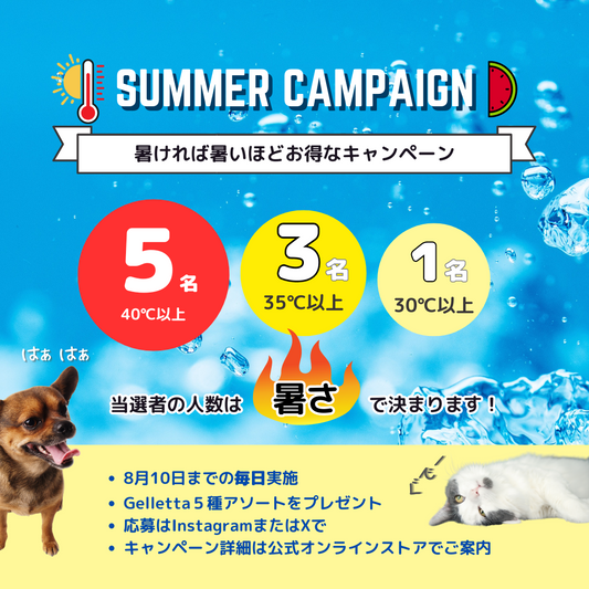 2024サマーキャンペーンのおしらせ
