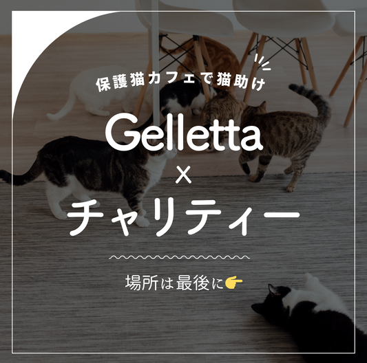 Gelletta チャリティー企画のおしらせ