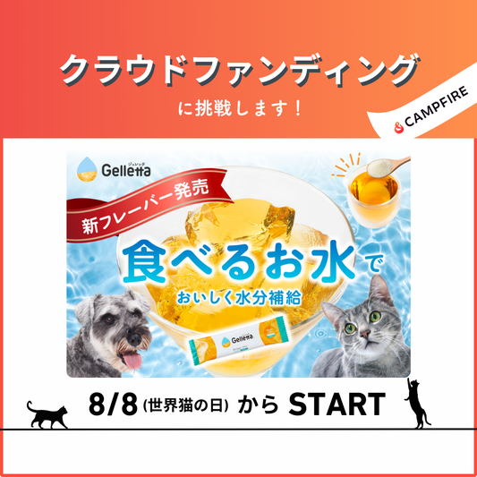 クラウドファンディングSTARTのおしらせ