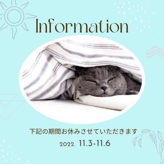 11/3(木)〜6(日)おやすみします