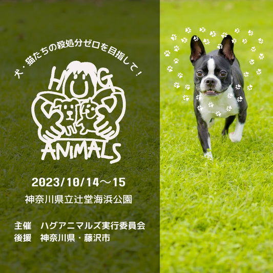 【イベント出店のお知らせ】HUG ANIMALS vol.10に出店します