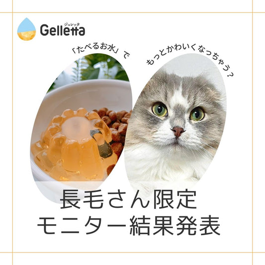 【長毛種の猫限定】モニター結果発表