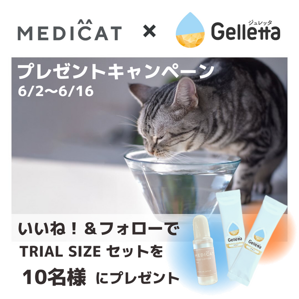 【コラボキャンペーンのおしらせ】MEDICAT x Gelletta