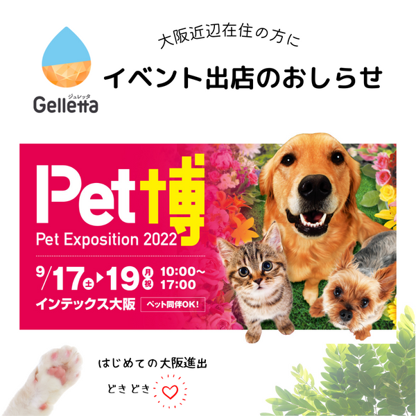 【出店のお知らせ】Pet博大阪2022