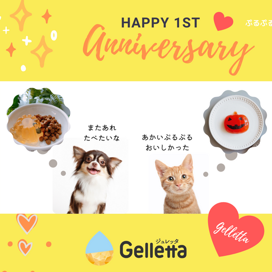 Gelletta１周年記念キャンペーン✨