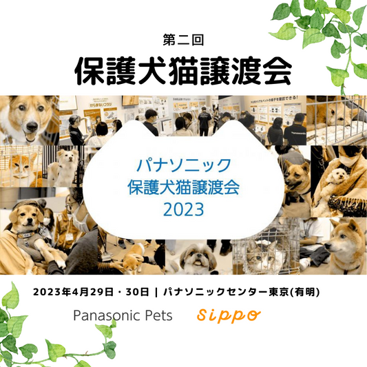 【イベント出店のお知らせ】Panasonic保護犬猫譲渡会に出店します