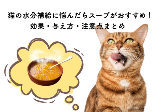 猫の水分補給に悩んだらスープがおすすめ！効果・与え方・注意点まとめ