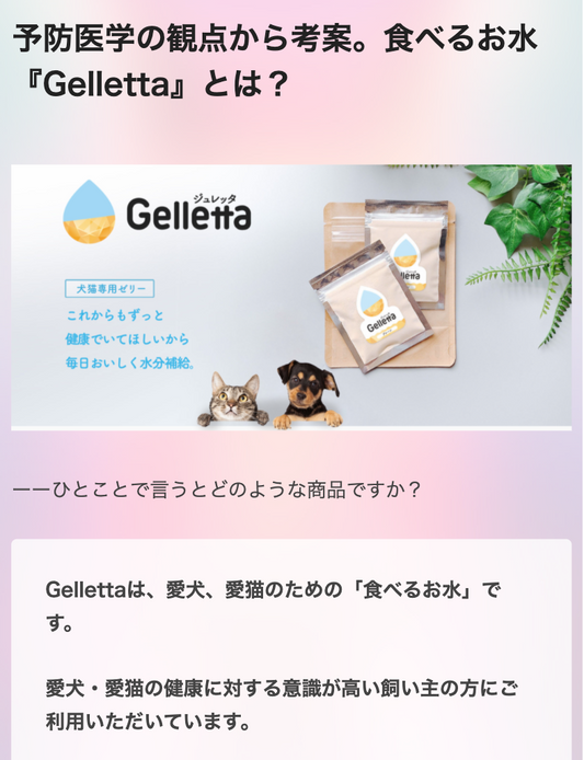 Gellettaがインタビュー記事に掲載されました