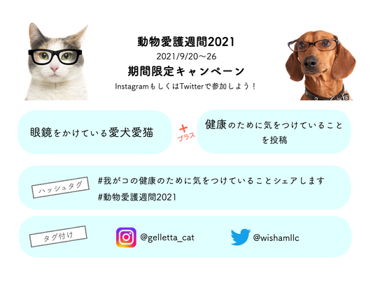 動物愛護週間2021キャンペーン