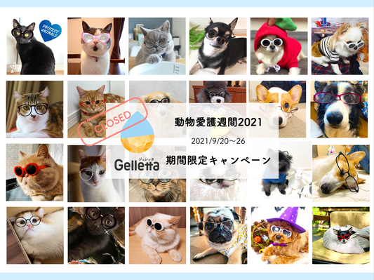 🎉動物愛護週間2021キャンペーン終了🎉