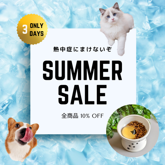 2023 SUMMER SALE のおしらせ