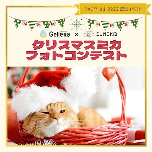 SUMIKA×Gellettaコラボキャンペーン