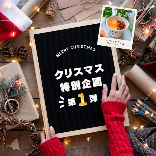 🎄クリスマス特別企画【第一弾】🎄