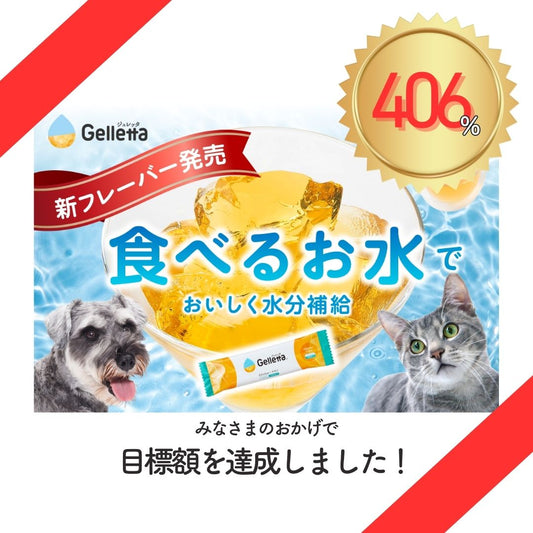 クラウドファンディング募集終了のおしらせと新フレーバーモニター募集について