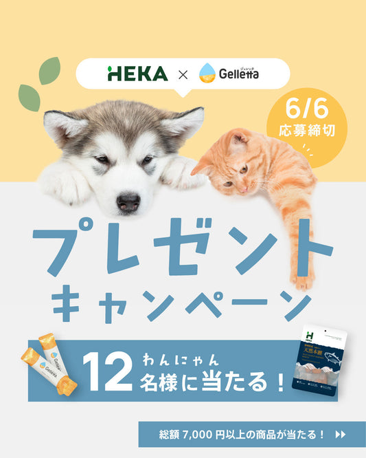HEKA様コラボキャンペーンのおしらせ