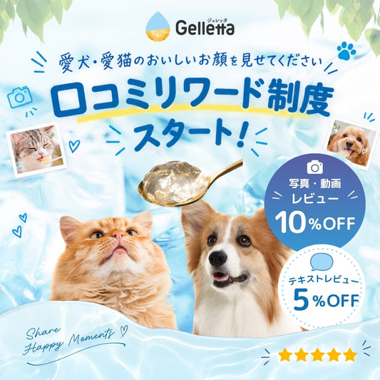 【最大10%OFF】愛犬・愛猫のおいしいお顔を見せてください！口コミリワード制度がスタートしました