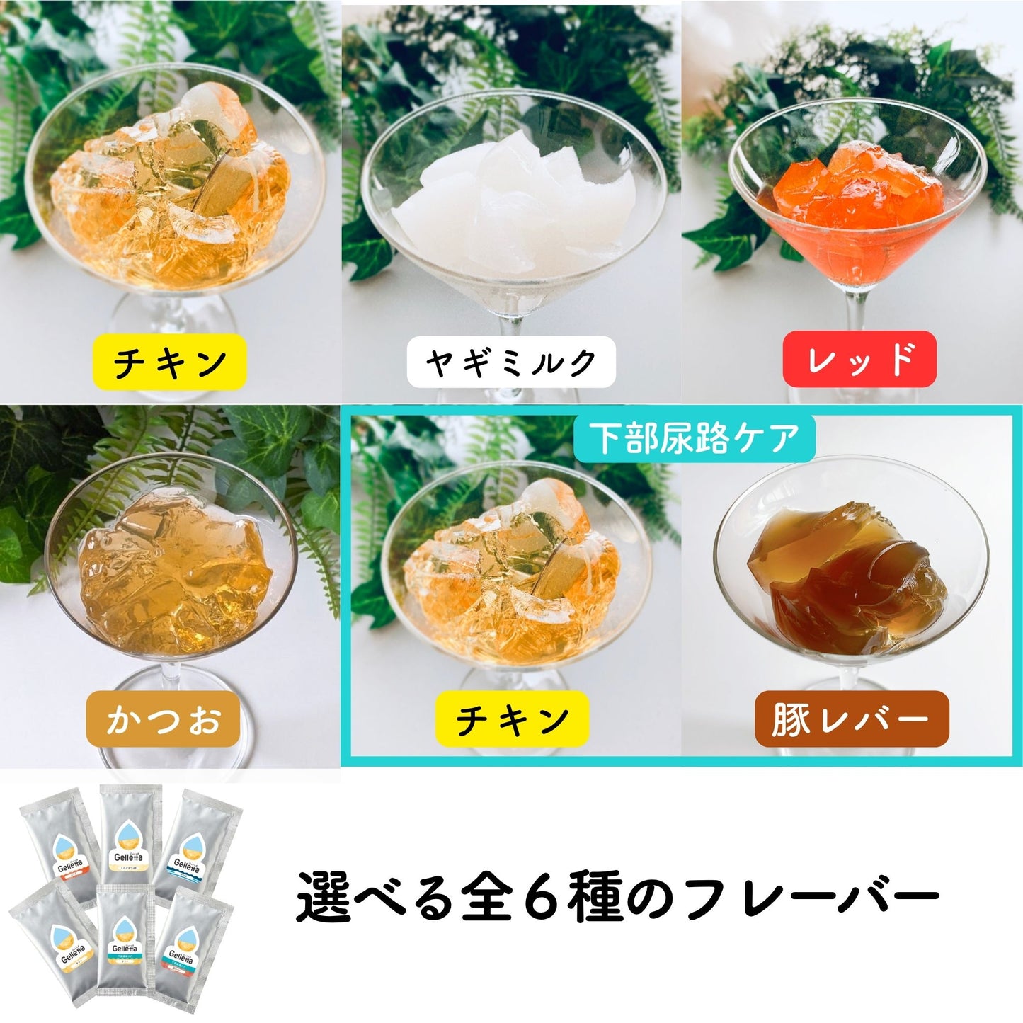 【はじめての方におすすめ！】ジュレッタ アソート