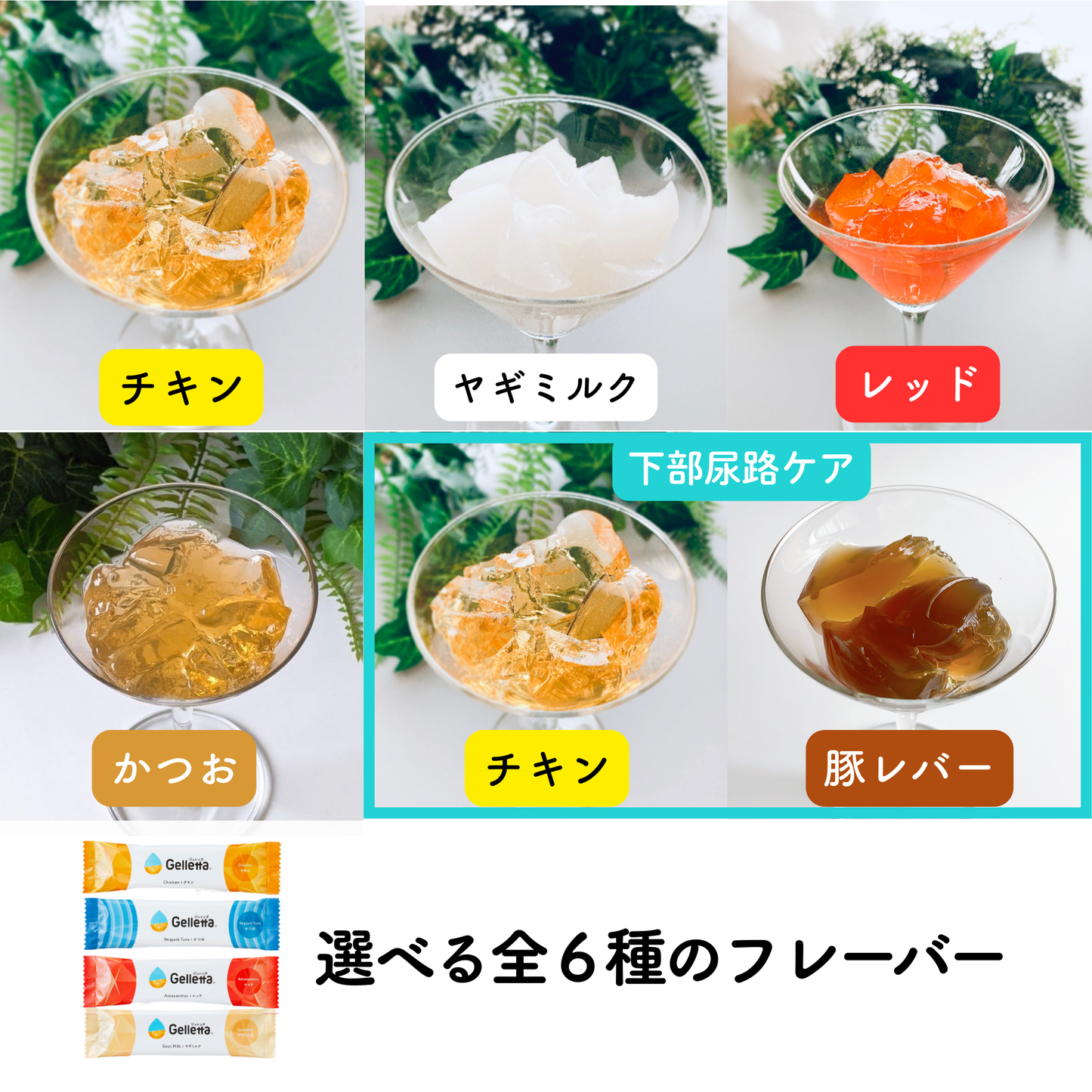 【はじめての方におすすめ！】ジュレッタ アソート