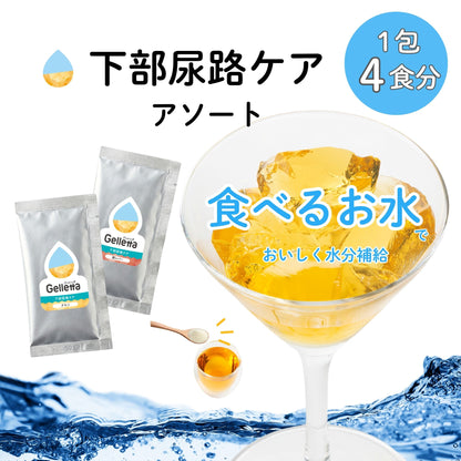 【はじめての方におすすめ！】ジュレッタ アソート